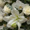 White flowers are known to stand for purity and peace, bringing light