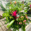 Introducing the Dish Garden by Menlo Florist, a stunning arrangement that brings