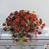 Red roses and other seasonal red flowers 