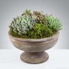 The perfect desk or table accessory, this succulent box features four 4
