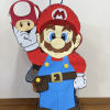 Bring the excitement of the Mushroom Kingdom to your party with our