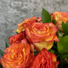 24 Premium Grade A Ecuadorian Roses arranged with greenery. Please specify color