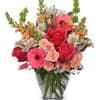 Twelve stunning arrangements designed with the freshest flowers of each season! Enjoy