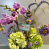 Orchids and cut fresh flowers 
AS SIMILAR AS POSSIBLE
Substitution based on season