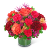 Add bold color to your life with our Mango Luxe design. Our