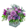 This jewel of an arrangement will brighten anyone&rsquo;s day! Amethyst Sparkle contains