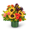 This bright, cheery floral arrangement will add a little flair to any