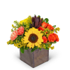 This bright, cheery floral arrangement will add a little flair to any