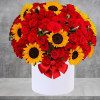 Make them glow with this beautiful flower combo arrangement! Send a ray