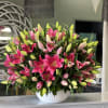 Pink Lilies 