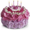 Make a wish! Instead of a calorie-packed cake, send the birthday star
