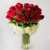 Send this luxury red rose arrangement wrapped in white hydrangeas. 

DETAILS
Beautiful velvety