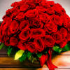 A dramatic abundance of roses. 100 stems presented in a tight cluster