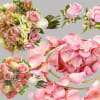 Wedding Collection Pink
This collection has taken the stage as a top seller