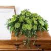 Our Tropical Haven Casket Spray is a heartfelt tribute to honor the