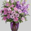 The perfect pick for the purple lover in your life! This impressive