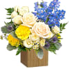 Like wispy clouds in a bright blue sky, this beautiful arrangement of