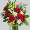 An instant Christmas party, this festive arrangement bursts with fresh blooms of