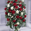 This traditional spray is presented in red and white. Vibrant red carnations