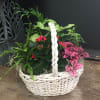 Send Mom some love and some beautiful plants this year.  They