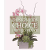 Let our talented designer choose the best orchid plant in a special