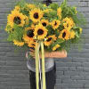 5O stems of Sunflowers 