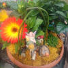 Our Fairy Garden Kit comes with all the right goodies for you