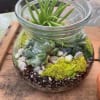 A handmade, designed to order, Terrarium Garden!
Makes a perfect gift for all