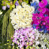 Honor one who lived life to the fullest with a full garden