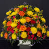 Bright and beautiful basket, yellow mums, roses, purple monte, alstroemeria, mini carnations