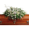 As serene as gently falling snow, this pure white spray of hydrangea
