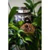 A Garden of beautiful tropical plants to honor your loved one. 
