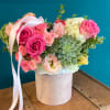 Stunning box full of Lisianthus, Succulents, and other mixed flowers