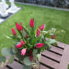 A floral ode to Scorpio season, with a blend of tulips and