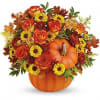 Country Pumking