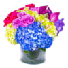 The Flower Elegance floral arrangement contains Cymbidium Orchids, Purple Calla Lilies, Blue