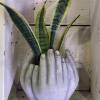 7&quot; high and can be potted with a houseplant for an additional