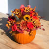Real Pumpkin unique arrangement, includes , orchids, roses, sunflower, chrysanthemum, button Pom