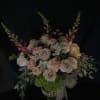 Fluffy 12 dozen ivory/pink roses, peach colored carnations, green hydrangeas, pink snap