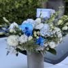 Adorable velvet box with mix flowers and GORGEOUS blue orchids!