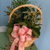We will gather wonderful lush plants to create a beautiful garden for