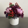 Immerse yourself in the allure of Enchanted Violet, a flower that captivates