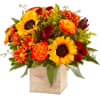 The color &amp; charm of an autumn country harvest inspired our farmhouse-style