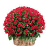 100 red roses arranged in basket