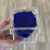 A single forever rose sits in a custom acrylic box. This petit