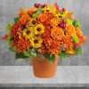 Autumnal colors are nestled together with brilliant fall leaves to create a