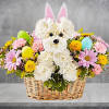 On the hunt for a unique Easter gift? Our Hoppy Pawty Pal