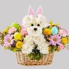 On the hunt for a unique Easter gift? Our Hoppy Pawty Pal
