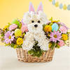 On the hunt for a unique Easter gift? Our Hoppy Pawty Pal