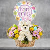On the hunt for a unique Easter gift? Our Hoppy Pawty Pal